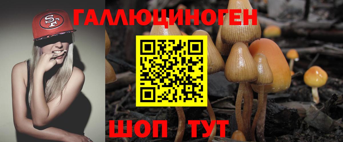 Галлюциногенные грибы Cubensis  Галлюциногенные грибы Magic Shrooms  Вход с VPN  Стрежевой 